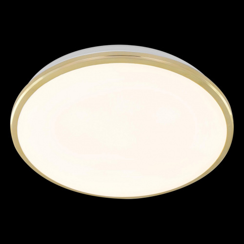 Светодиодный накладной светильник CITILUX Луна CL702302W