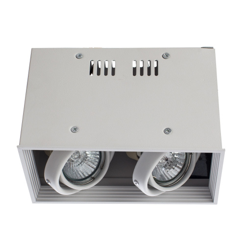 Накладной светильник Arte Lamp Cardani White A5942PL-2WH