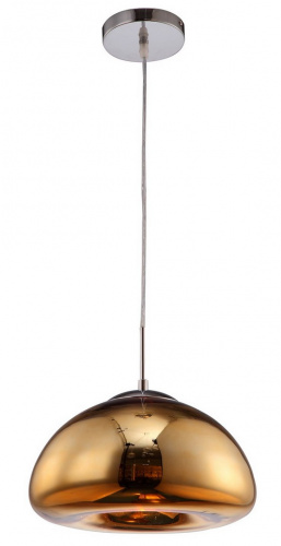 Потолочный светильник Arte Lamp SWIFT A8041SP-1GO