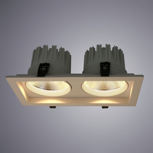 Светодиодный встраиваемый светильник Arte Lamp PRIVATO A7018PL-2WH