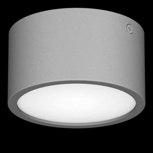Уличный потолочный светильник Lightstar Zolla 380194