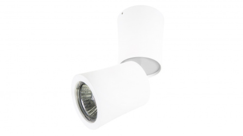 Накладной светильник Lightstar Rotonda 214456