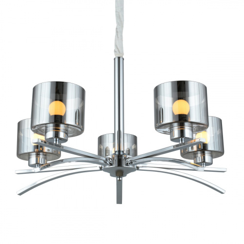 Подвесная люстра Omnilux Alassio OML-55803-05 купить по низкой цене