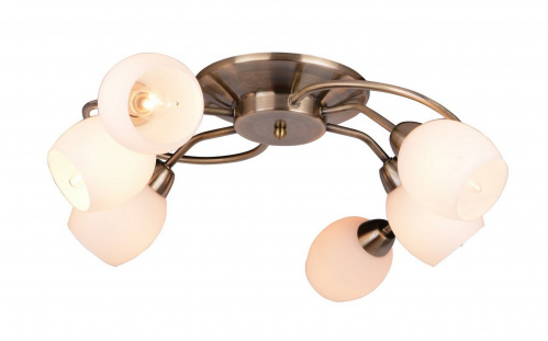 Потолочная люстра Arte Lamp SILVANA A4033PL-6AB купить по низкой цене