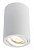 Накладной светильник Arte Lamp SENTRY A1560PL-1WH