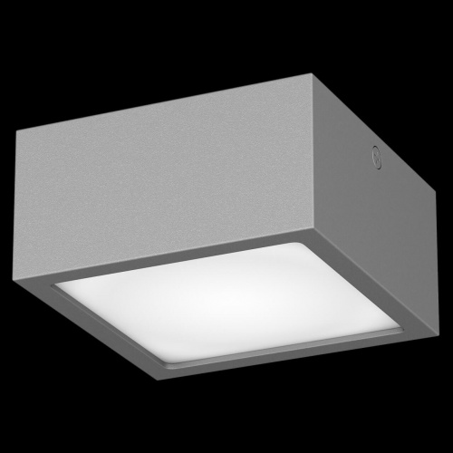 Уличный потолочный светильник Lightstar Zolla 380293