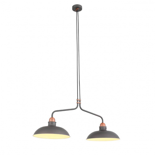 Подвесная люстра ST Luce PIETANZA SL323.403.02 купить по низкой цене