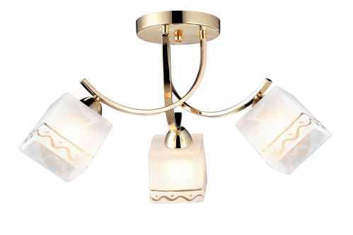 Потолочный светильник Arte Lamp MODELLO A6119PL-3GO