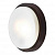 Настенно-потолочный светильник Odeon Light HOLGER 2744/2C