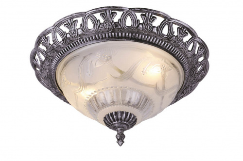 Потолочный светильник Arte Lamp PIATTI A8001PL-2SB