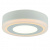 Светодиодный потолочный светильник Arte Lamp ANTARES A7806PL-2WH