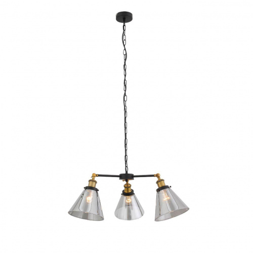 Подвесная люстра ST Luce Evoluto SL237.403.03 купить по низкой цене