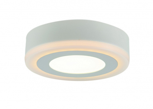 Светодиодный потолочный светильник Arte Lamp ANTARES A7809PL-2WH