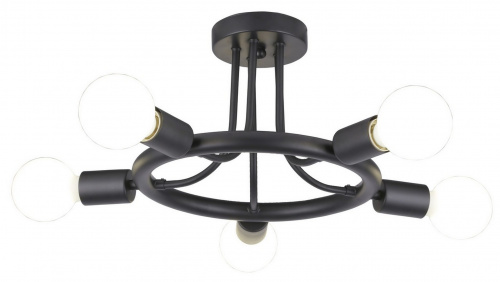 Потолочная люстра Arte Lamp HIGHGARDEN A6063PL-5BK купить по низкой цене