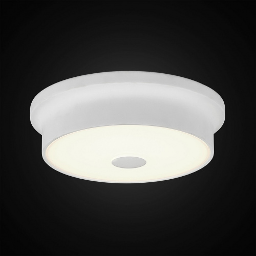 Светодиодный настенно-потолочный светильник CITILUX Фостер CL706210
