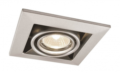 Технический светильник Arte Lamp TECHNIKA A5941PL-1SI