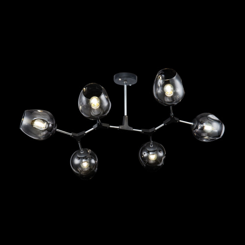 Потолочная люстра Freya Desi FR5006CL-06B купить по низкой цене