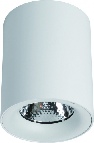 Светодиодный накладной светильник Arte Lamp FACILE A5112PL-1WH