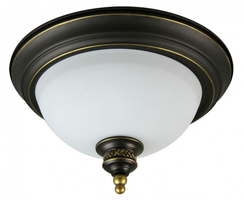 Потолочный светильник Arte Lamp BONITO A9518PL-2BA