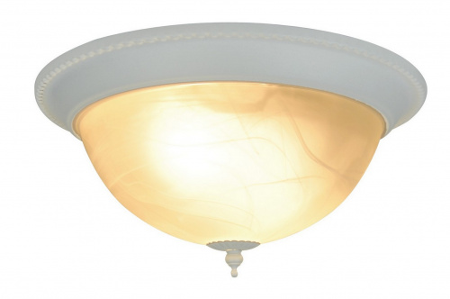 Потолочный светильник Arte Lamp PORCH A1305PL-2WH