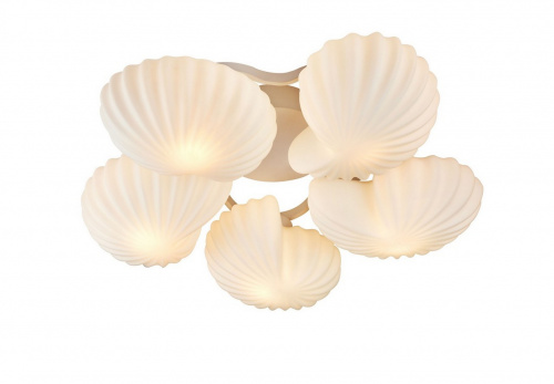 Потолочная люстра ST Luce Conglia SL534.502.05 купить по низкой цене