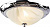 Настенно-потолочный светильник Arte Lamp ALTA A3008PL-2CC