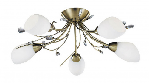 Потолочная люстра Arte Lamp GARDENIA A2766PL-5AB купить по низкой цене