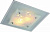 Настенно-потолочный светильник Arte Lamp ARIEL A4807PL-2CC