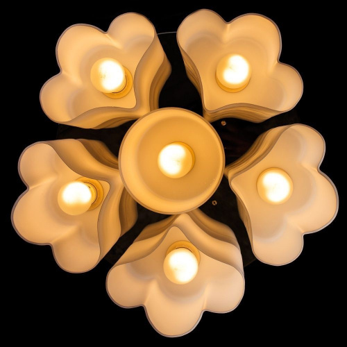 Потолочная люстра Arte Lamp CANZONE A3489PL-6CC купить по низкой цене