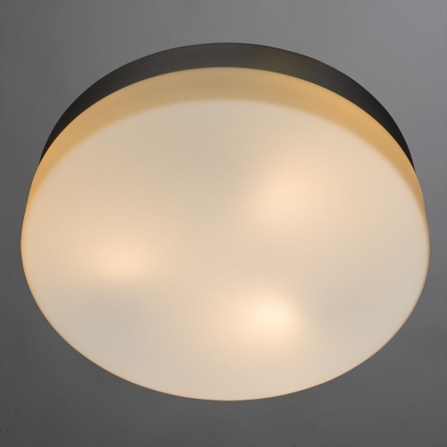 Накладной светильник Arte Lamp AQUA A3211PL-3SI