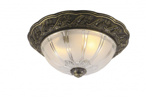 Потолочный светильник Arte Lamp PIATTI A8003PL-2AB