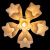 Потолочная люстра Arte Lamp CANZONE A3469PL-6CC Потолочная люстра Arte Lamp CANZONE A3469PL-6CC купить по низкой цене