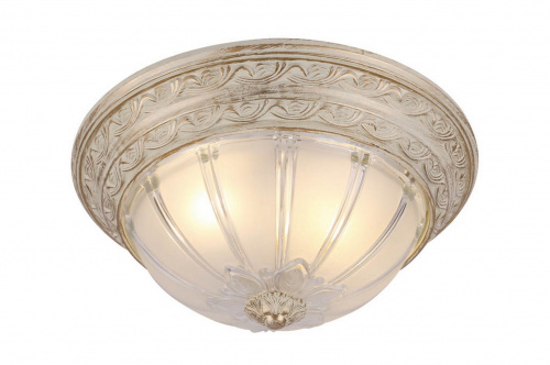 Потолочный светильник Arte Lamp PIATTI A8014PL-2WA
