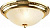 Настенно-потолочный светильник Arte Lamp ALTA A3013PL-2GO