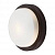 Настенно-потолочный светильник Odeon Light HOLGER 2744/1C