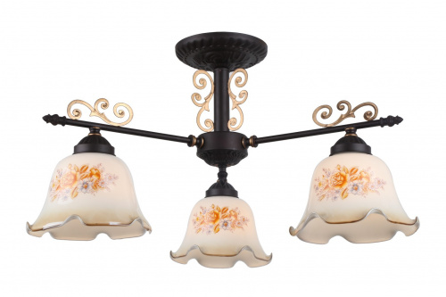 Потолочный светильник Arte Lamp AROMA A6582PL-3BR