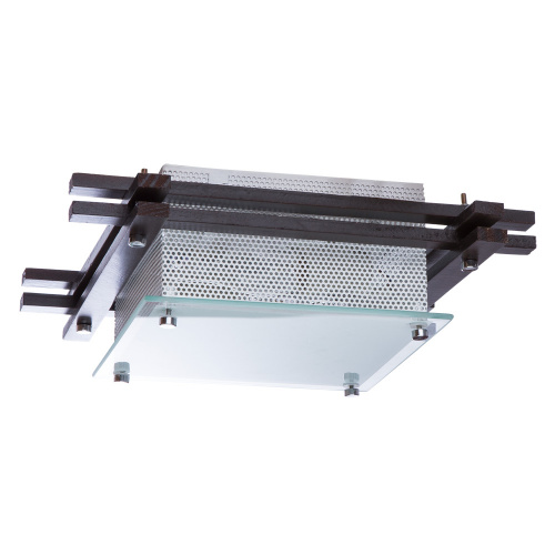 Накладной светильник Arte Lamp Archimede A6463PL-2BR