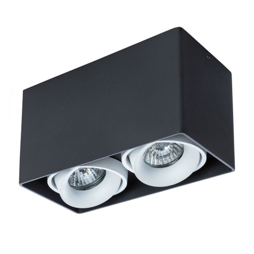Накладной светильник Arte Lamp Pictor A5654PL-2BK