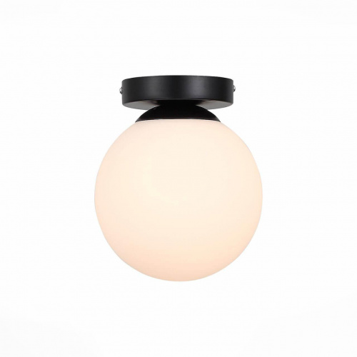 Потолочный светильник ST Luce ACINI SL717.401.01