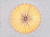 Потолочная люстра ST Luce SL351 SL351.172.08