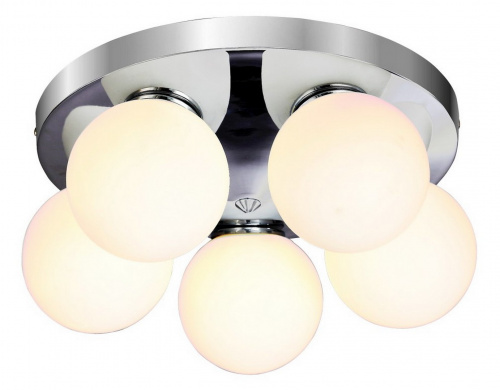 Потолочный светильник Arte Lamp AQUA A4445PL-5CC