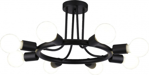 Потолочная люстра Arte Lamp HIGHGARDEN A6063PL-8BK купить по низкой цене