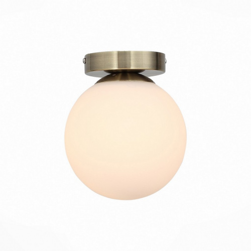 Потолочный светильник ST Luce ACINI SL717.301.01