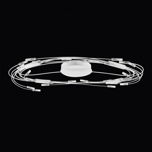 Потолочная люстра Lightstar OVALE 784246 купить по низкой цене