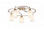 Потолочная люстра Arte Lamp GIANNI A6166PL-5WG