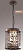 Подвесной уличный светильник Odeon Light Lagra 2286/1
