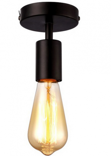 Потолочный светильник Arte Lamp FUORI A9184PL-1BK