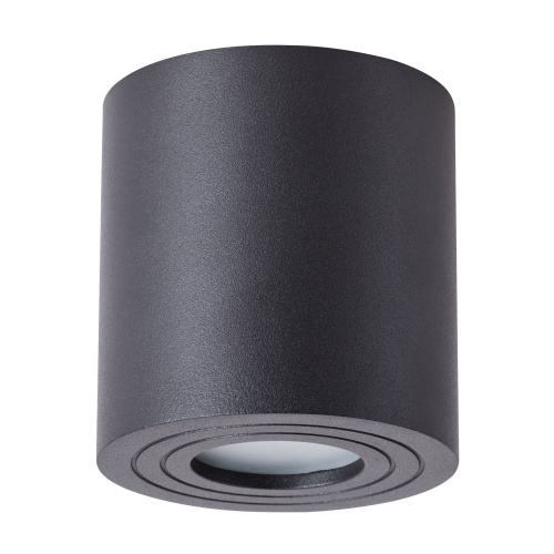 Потолочный светильник Arte Lamp Galopin A1460PL-1BK