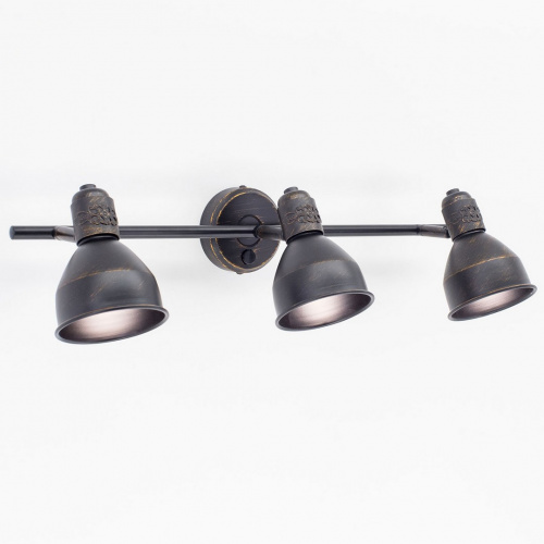 Спот CITILUX Опус CL502532