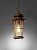 Уличный подвесной светильник Larte Luce GENOVA L70701.07
